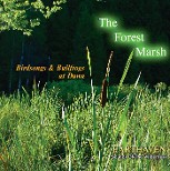 Forest Marsh Cover