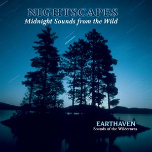 Nightscapes