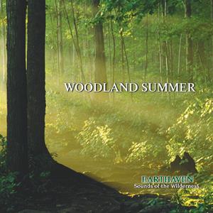 Woodland Summer