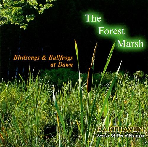 The Forest Marsh